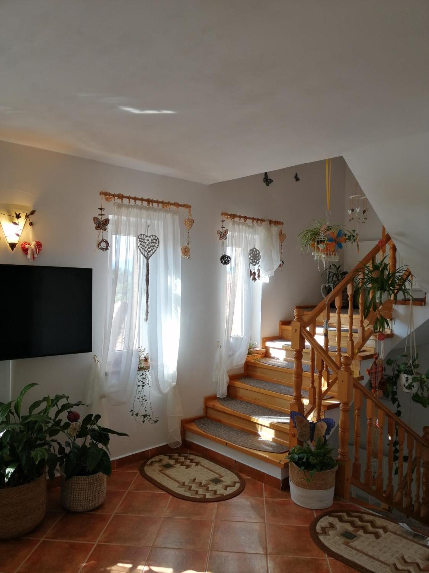 Pensiunea Transilvania Lodge ブラン エクステリア 写真