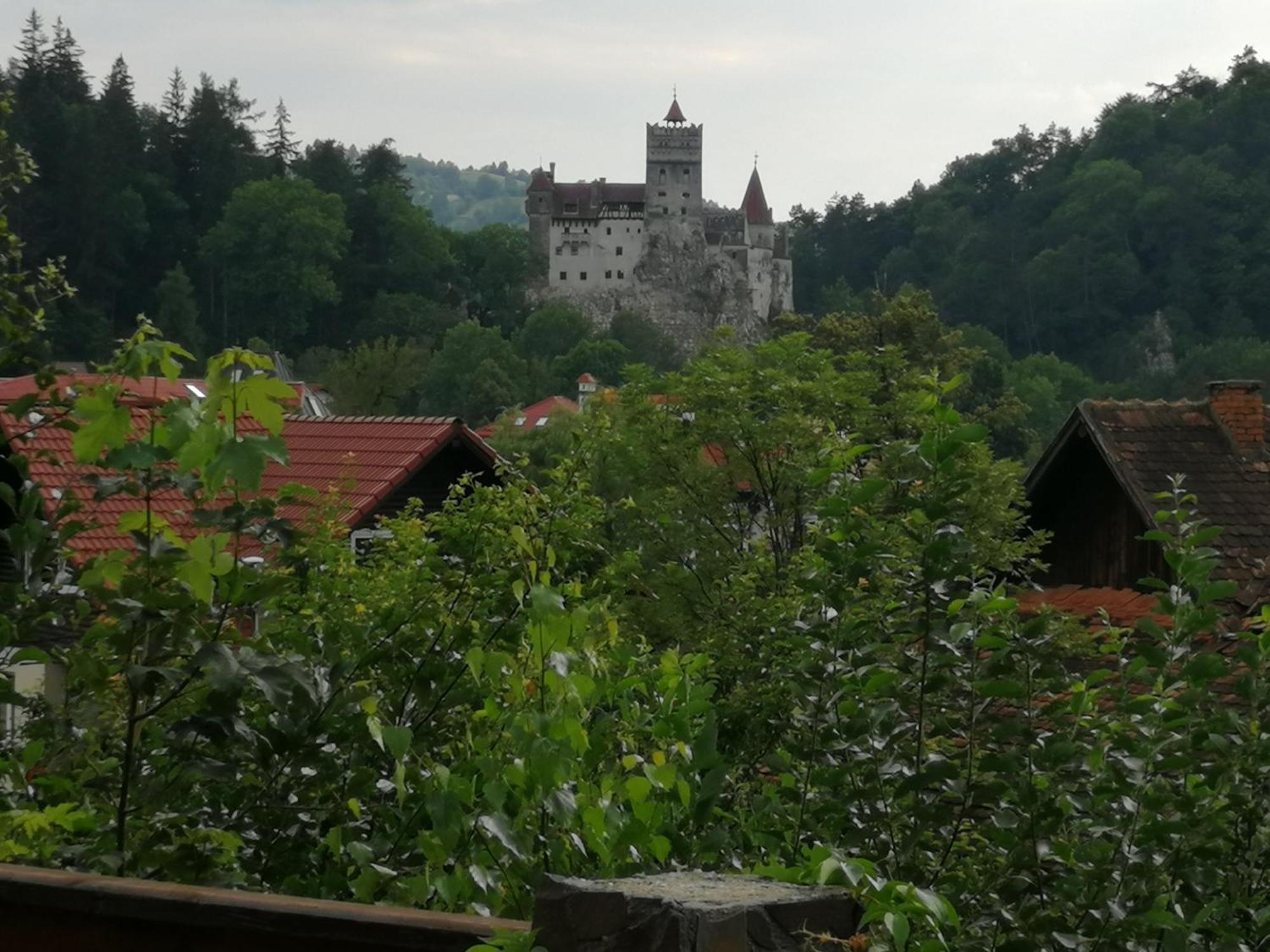 Pensiunea Transilvania Lodge ブラン エクステリア 写真