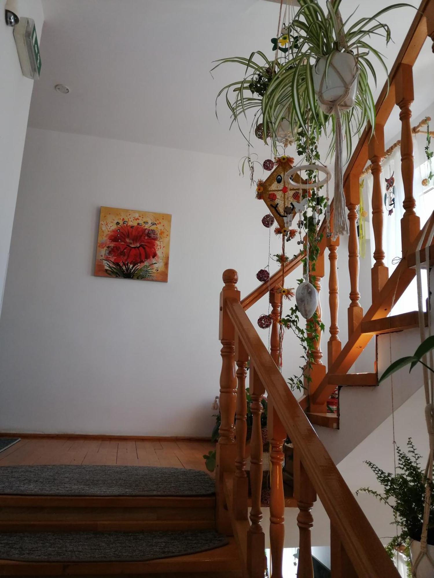 Pensiunea Transilvania Lodge ブラン エクステリア 写真