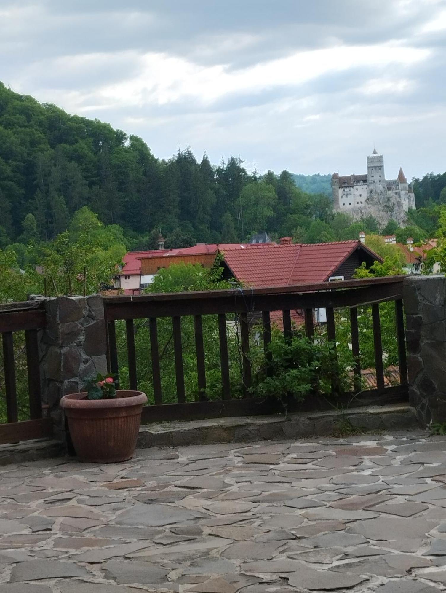 Pensiunea Transilvania Lodge ブラン エクステリア 写真