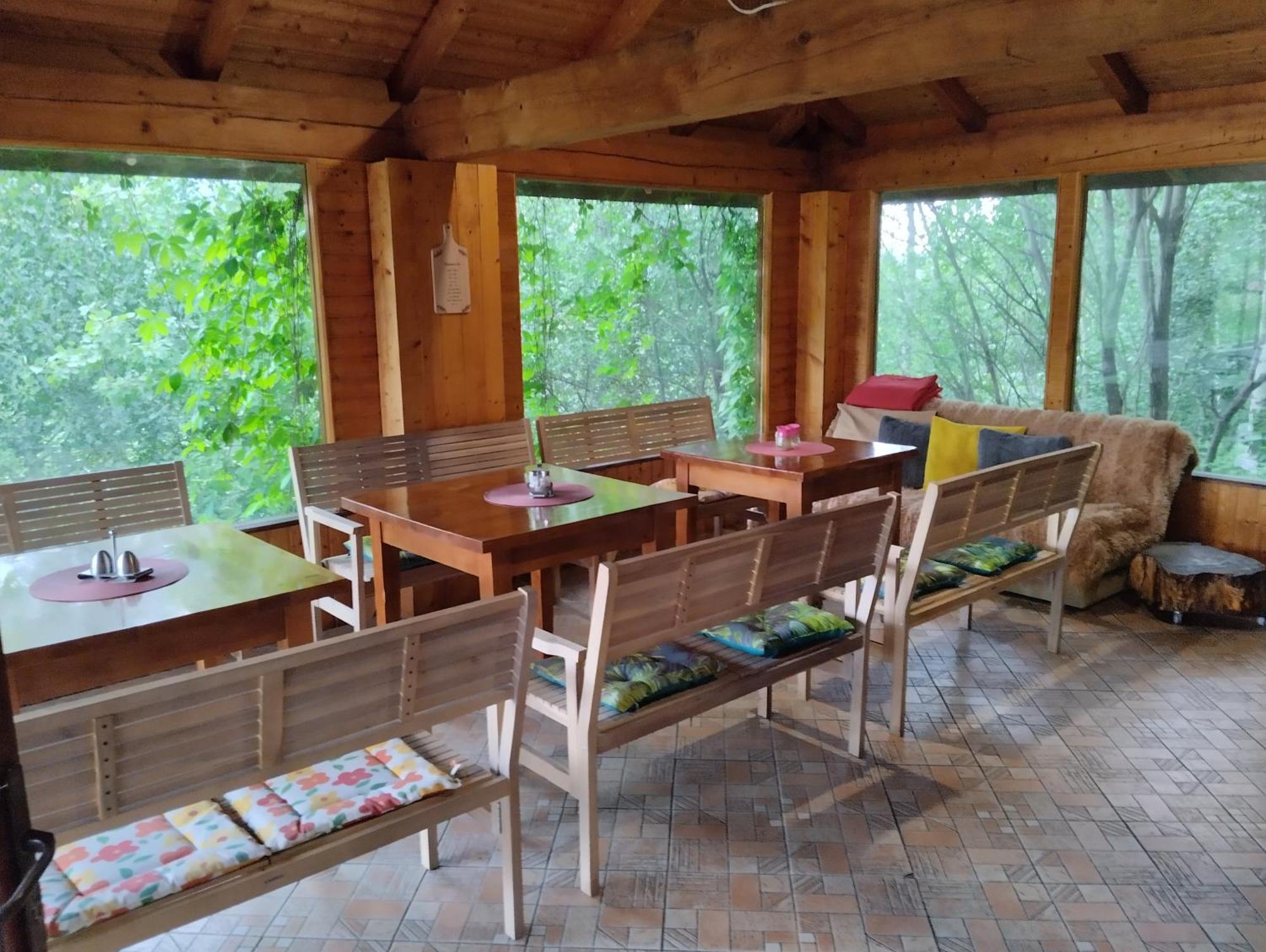 Pensiunea Transilvania Lodge ブラン エクステリア 写真