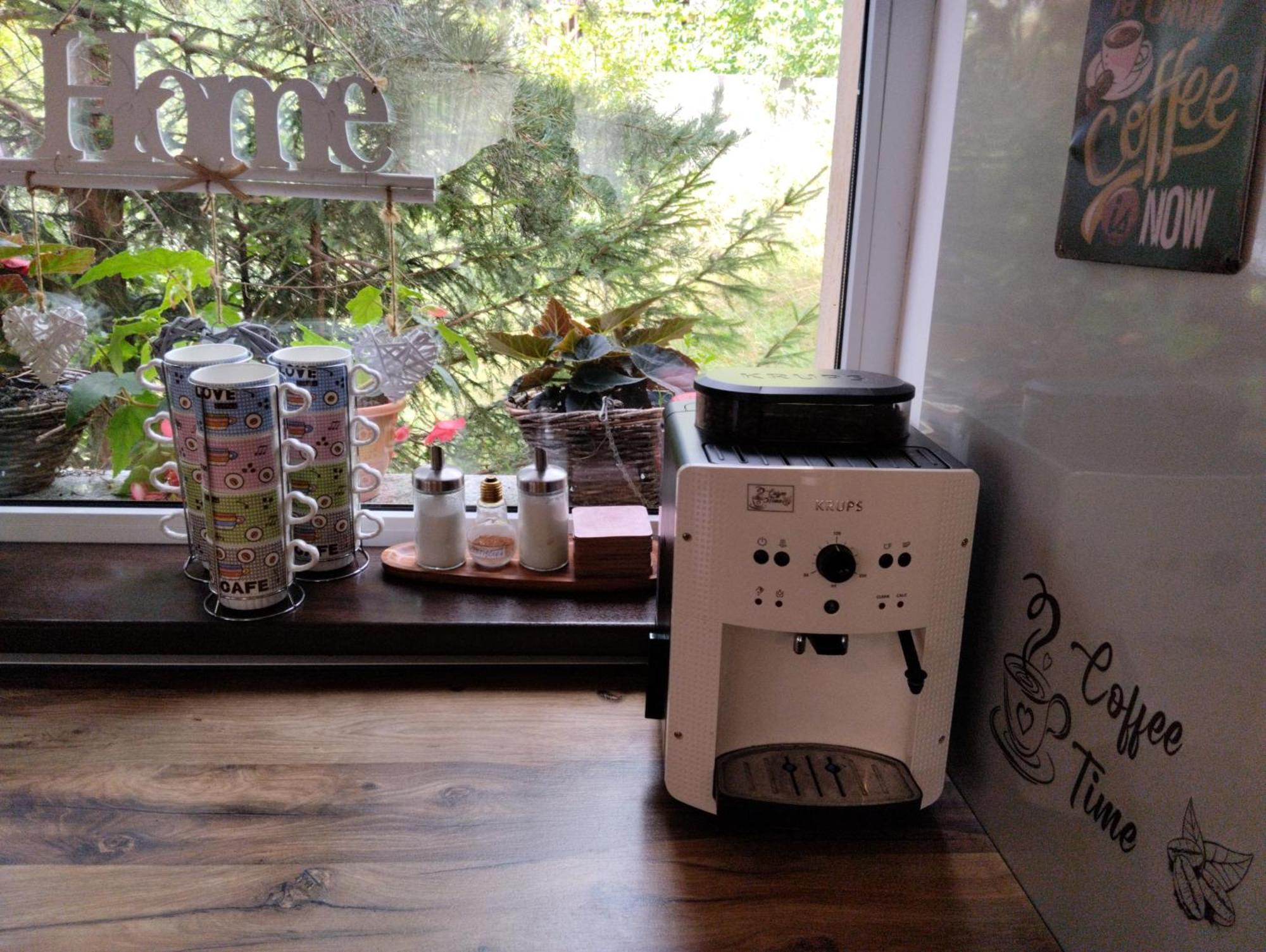Pensiunea Transilvania Lodge ブラン エクステリア 写真